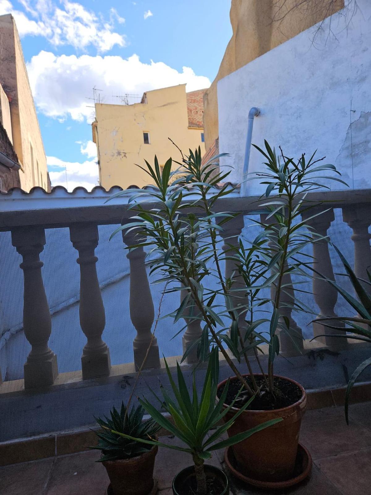 River Ebro Apartments Mora d'Ebre Exterior foto